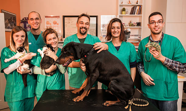 Equipo Veterinaria Concepción