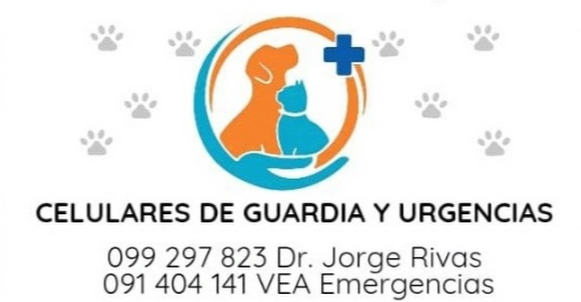 Servicio de urgencias veterinarias